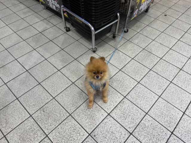 べんちゃん さま