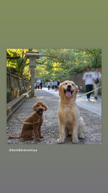 リアンジュ さま