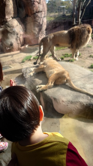 ３歳児の怪獣 さま