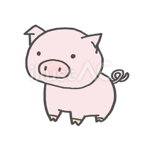 ぶぅちゃん さま