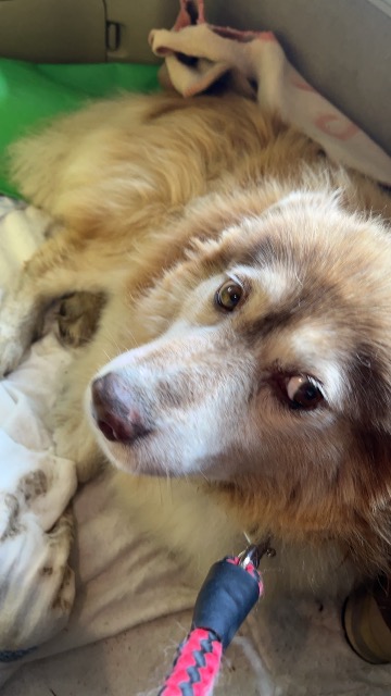 北海道mook さま