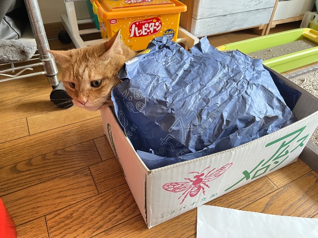 ますみん さま