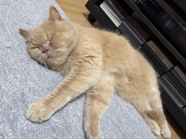 スンズロー さま