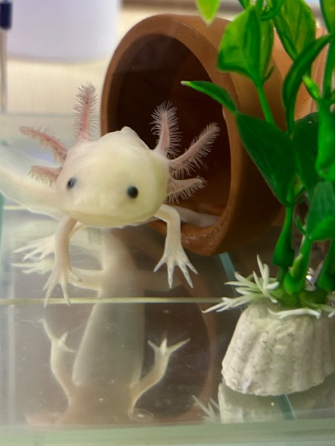 19 さま