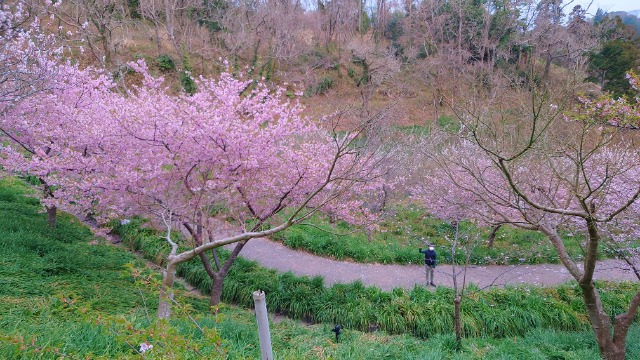 りんごりん さま