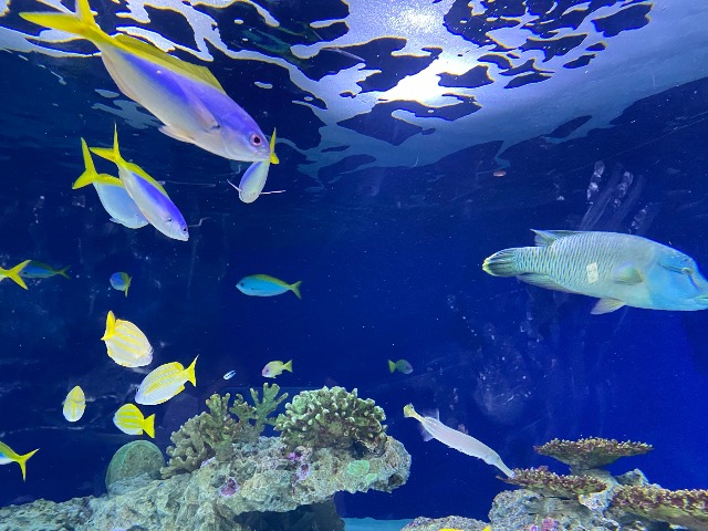 神谷 雪兎 さま