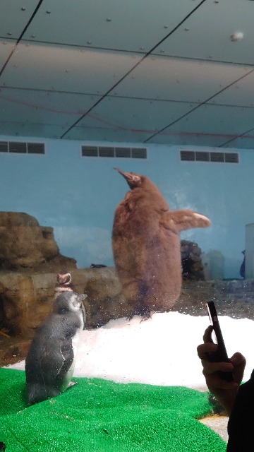 Xparkすむトモリン さま