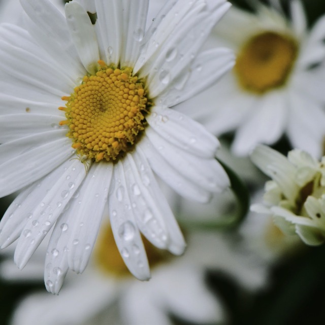 あらいちゃん さま