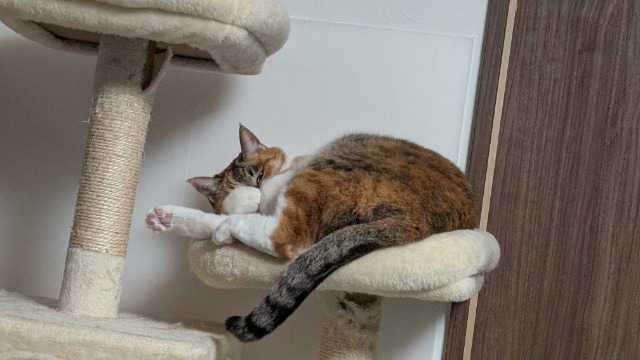 からっぱ さま