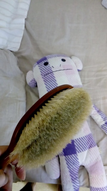 カルーセル さま