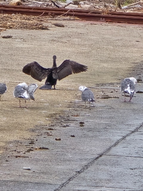 エイリアン さま