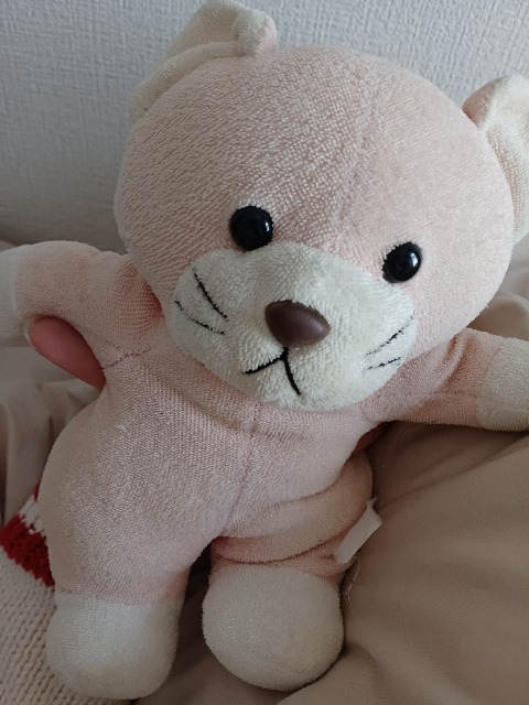 ねこなんだが さま