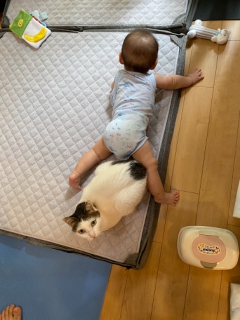 しょーさん さま