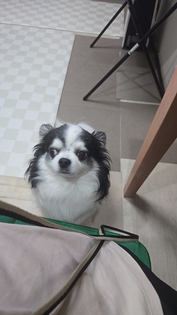 ソラエモン さま