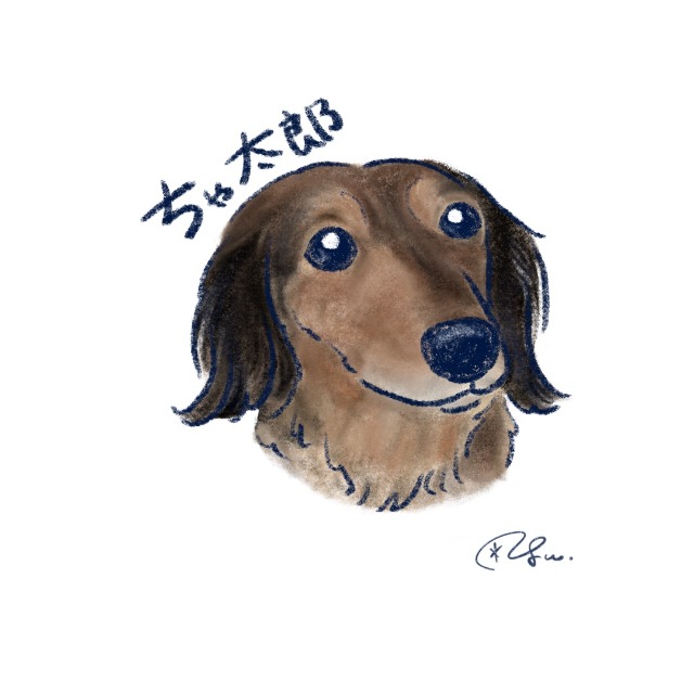 ゆっちゃん さま