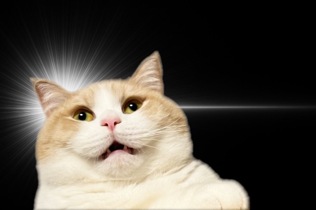 水族館好き さま