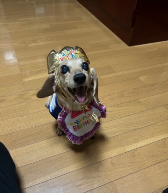 タグビュー さま