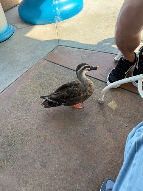 アソビュー！さと さま