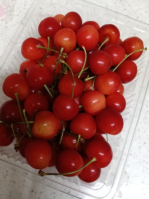 ぴいたん2013 さま