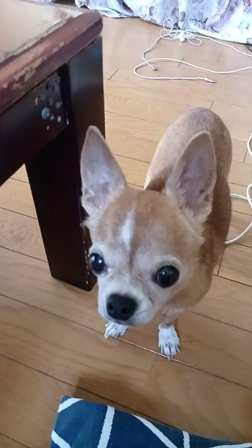 グリーマン さま