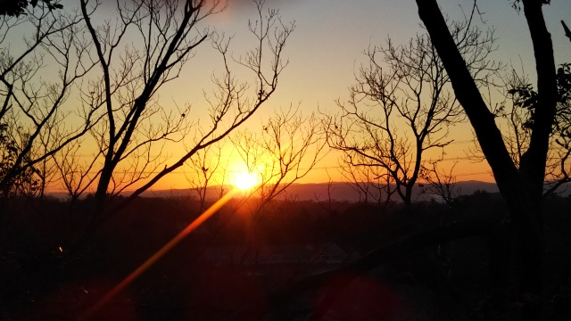 ペンケース さま