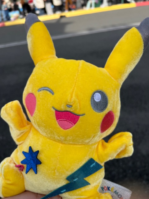 pika さま