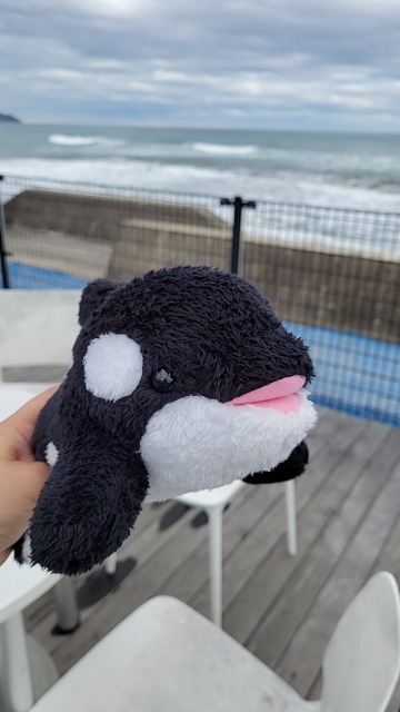 めめちゃん さま