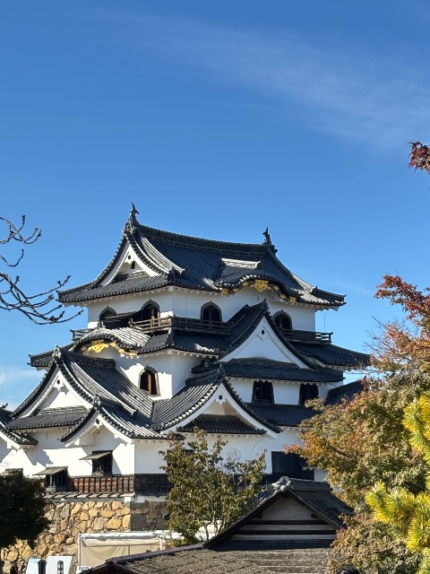 まちゃる55 さま