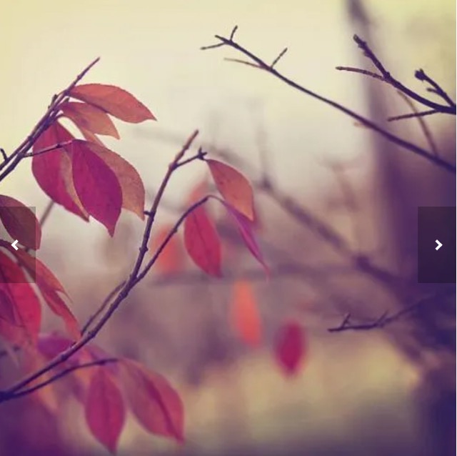 マシちゃん さま