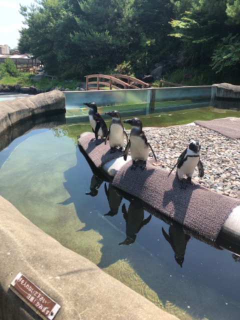 カンタロウ さま