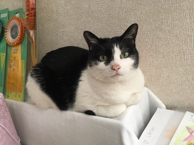 ひき肉好き太郎 さま