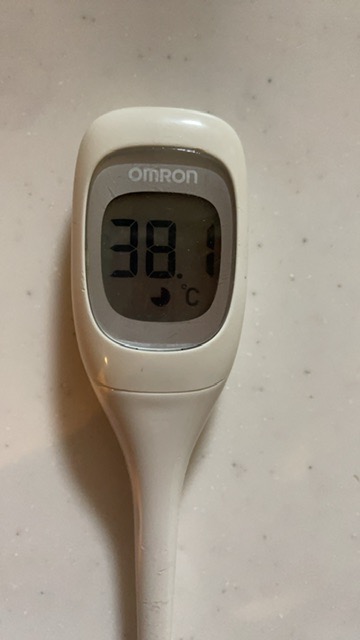 あやかりぴーまま さま