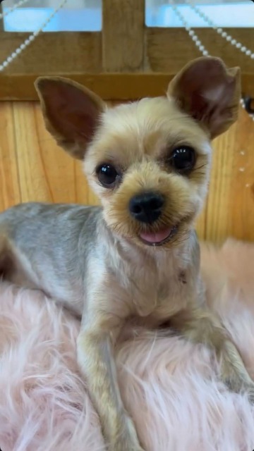 ベーカリーまい さま