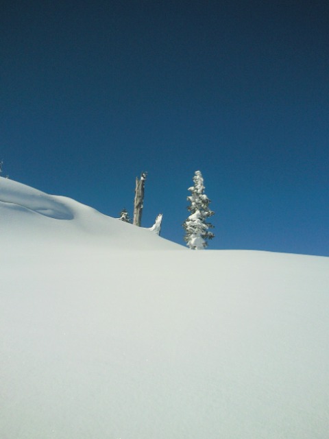 マウンテン さま