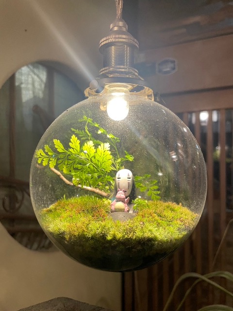 ぼーちゃん さま