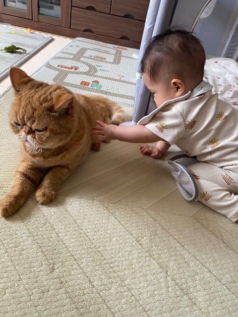 みやざわママ さま