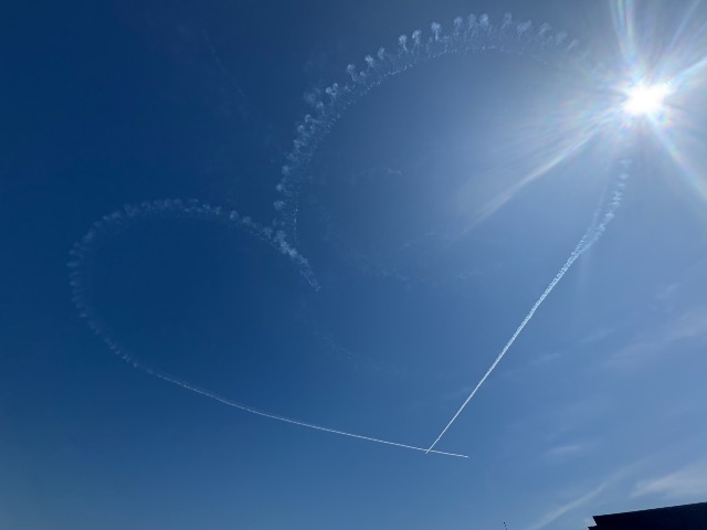 まゆぐりーーん さま