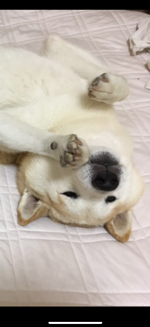 たろちゃん さま