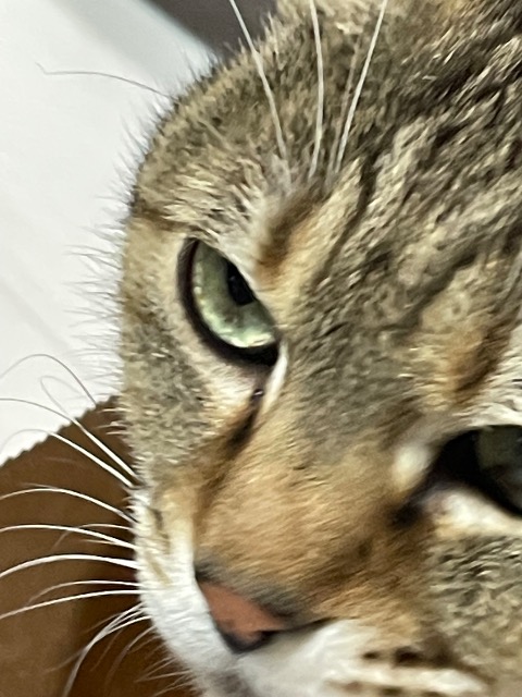 カミナリオヤジ さま