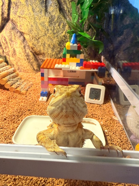 まっつん2525 さま