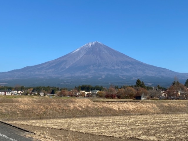 シシ さま