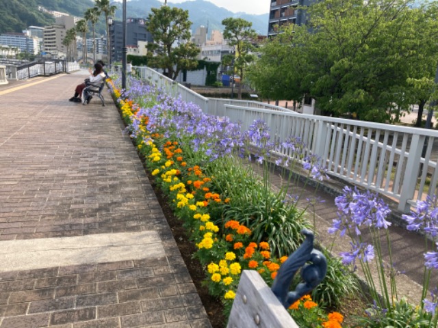 アソビュー！ゲストよーすけ さま