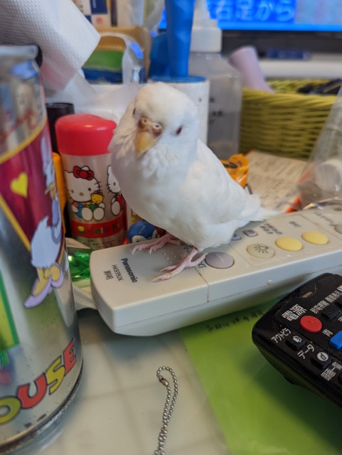 きよみっつ さま