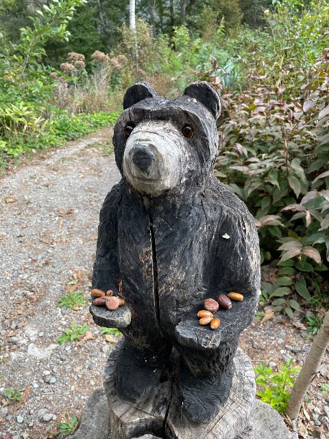 まーちゃん さま