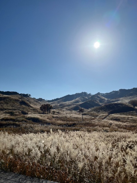 Ｂジャック さま