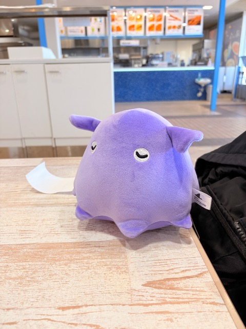 まーしー さま