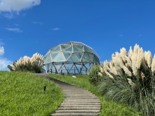 もーちゃん さま