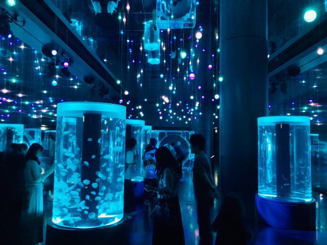 すーちゃん＆ママちゃん さま