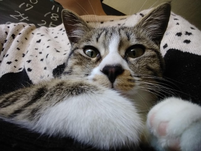 ちばみ さま