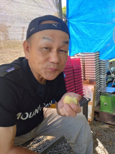 ミニモスラ さま